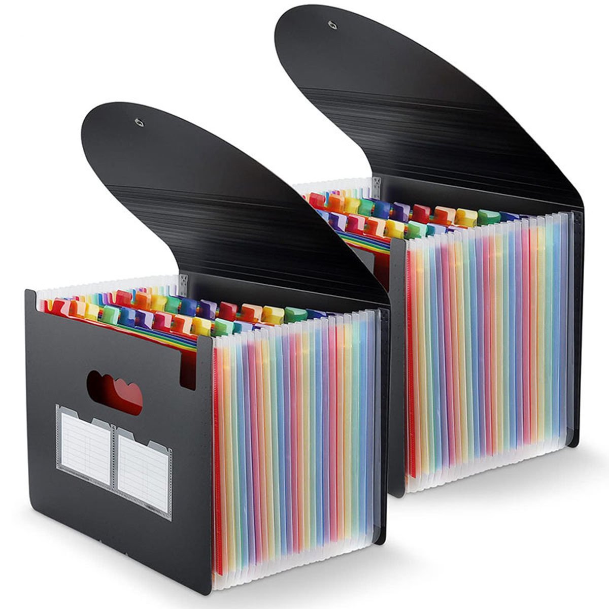 VINAUO 24 Pockets Expanding File Folder with Blank Labels, 2 Pack According File Organizer with Expandable Cover, Desktop Accordion Folders Letter A4 Paper Document Storage Organizer, Black