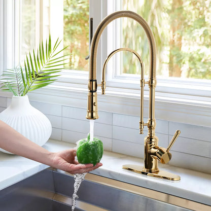 WOWOW Single Handle High Arc Pull Down Sprayer Kitchen Faucet